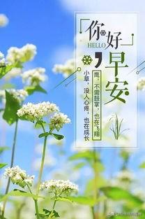 請問民間有清明期間互不道早安的習(xí)俗嗎？有什么來歷？